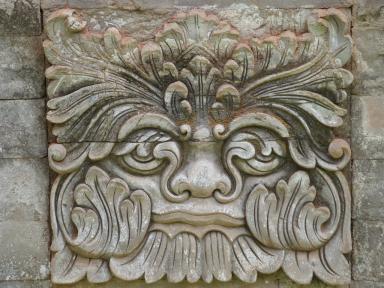 face