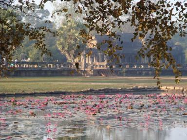 angkorpond