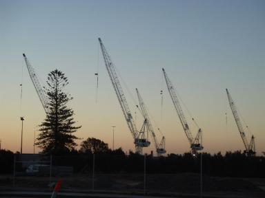 cranes1
