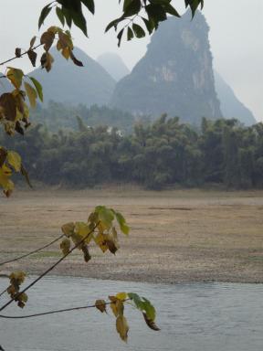 leaves&river
