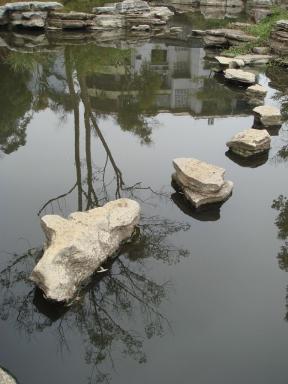 pond1