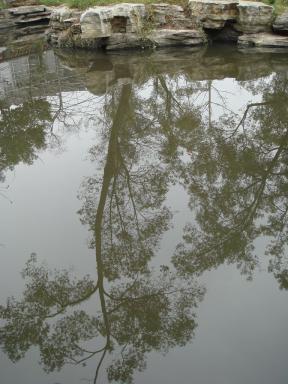 pond2
