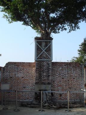 tree&wall