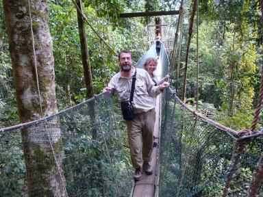canopywalkway
