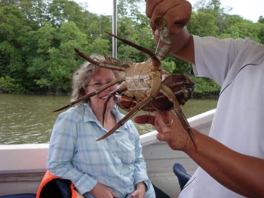 crab