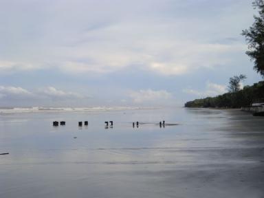 tuaran1
