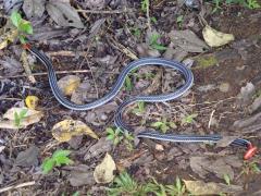 101627
