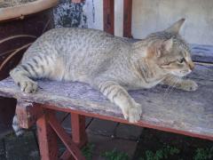 101817