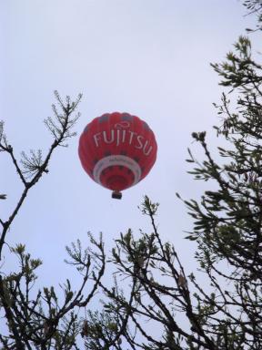 balloon&tree