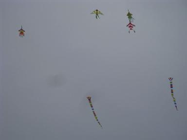 kites