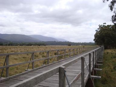 bridge