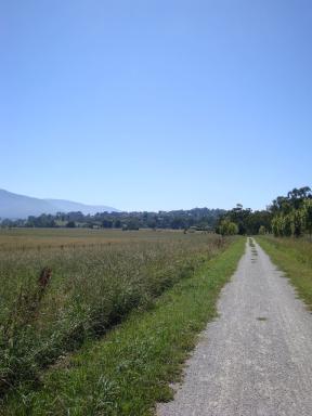 track