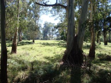 trees