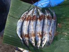 103951