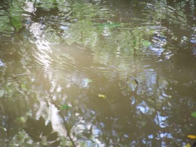 soupywater2