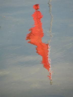 reflec1