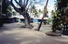 106544