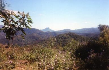 mountains