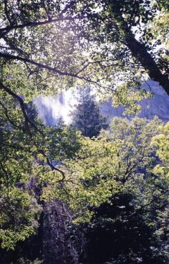yosemite2
