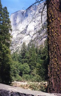 yosemite3