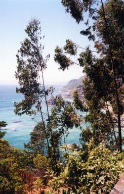bigsur3