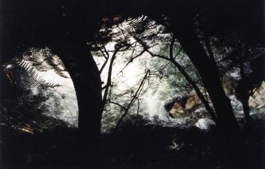 wood&water