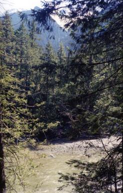 whistler3