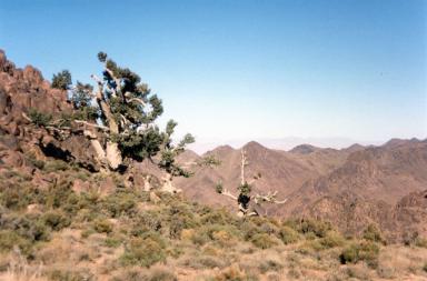 desert7