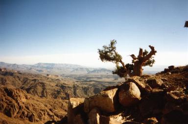 desert8