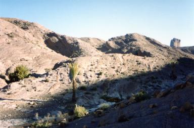 valley&palms