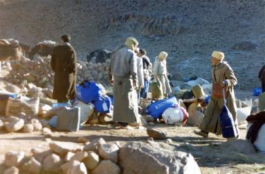 berbers
