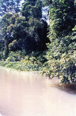 river