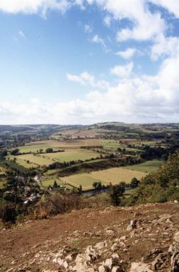 meadows