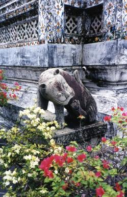 watarun1