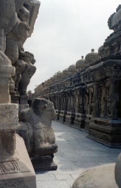 kanchi5