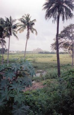 trichy4
