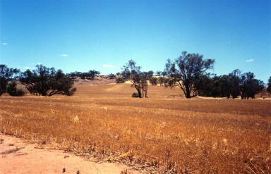 field