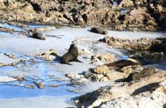 110994