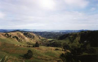 kawhia1