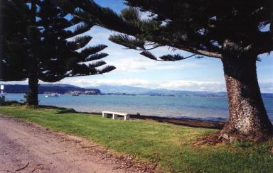 kawhia4