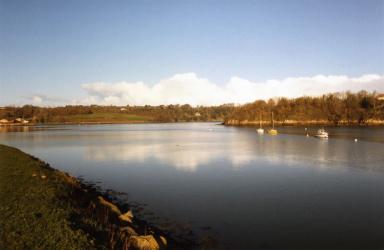 brightwater