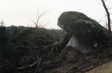 stone