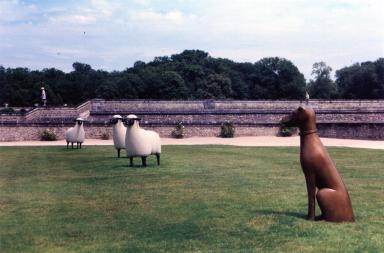 lawn