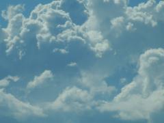 112779