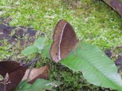 113292