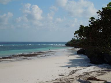 bira1