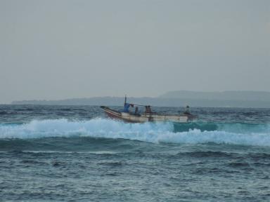 bira6