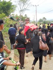 114296