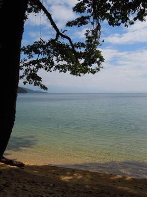 lake&tree