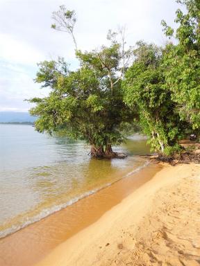 beach